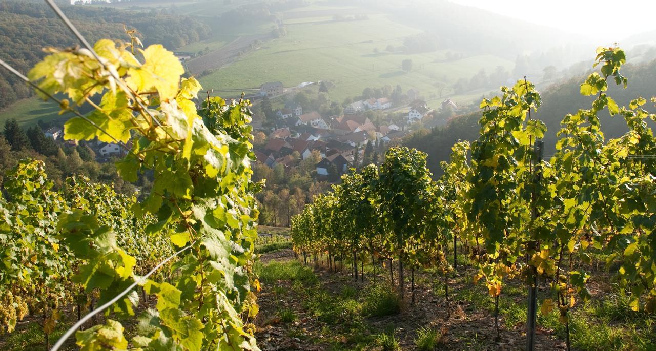 Weingut Hees - Landgasthof Zum Jaeger Aus Kurpfalz Auen 外观 照片