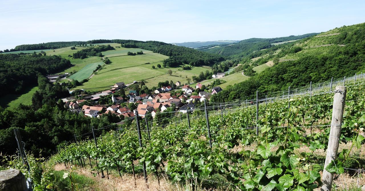 Weingut Hees - Landgasthof Zum Jaeger Aus Kurpfalz Auen 外观 照片