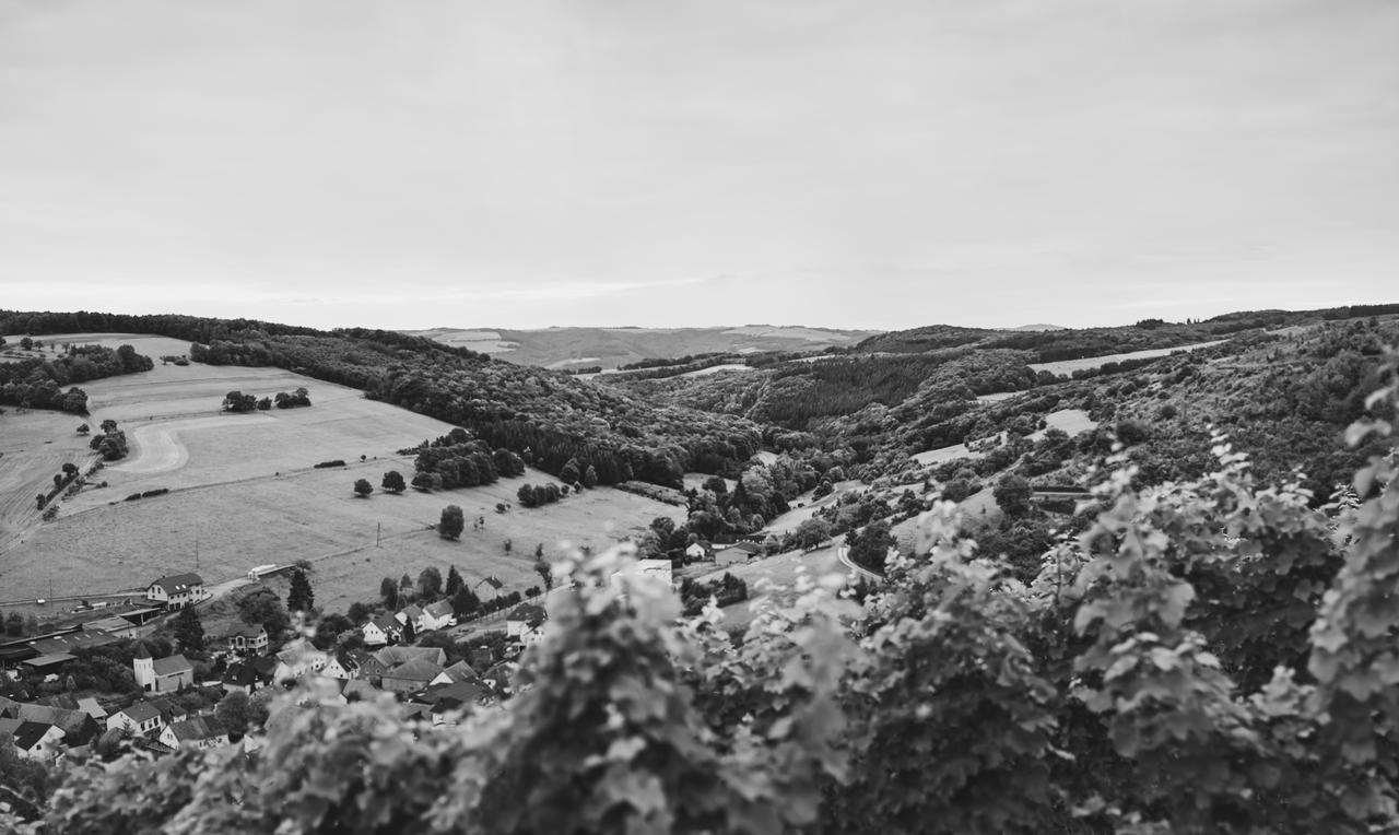 Weingut Hees - Landgasthof Zum Jaeger Aus Kurpfalz Auen 外观 照片